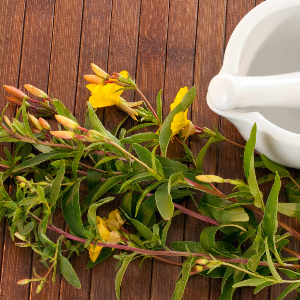 Evening Primrose Oil Beauty Boosters Supplements