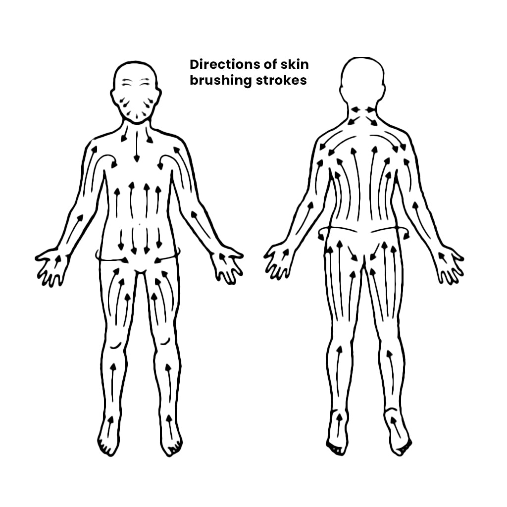 Dry Body Brushing What Is It and What Are Its Benefits? Beauty